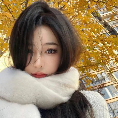豚鼠特攻队